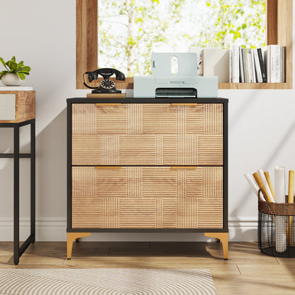 Modern Filing Cabinet with Adjustable Hanging Bar