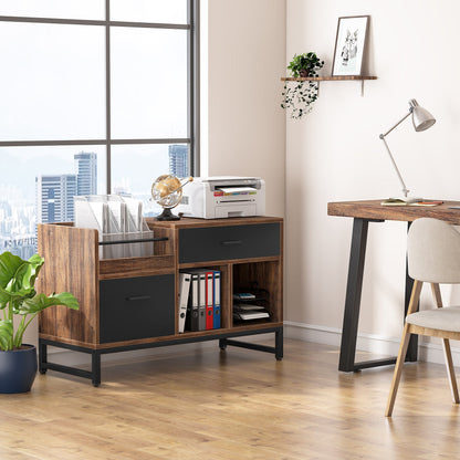 Rustic Lateral Filing Cabinet with 2 Drawers