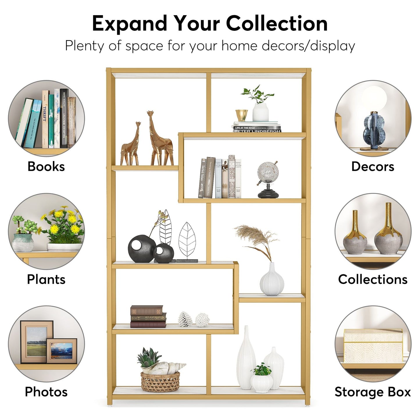 Modern Bookshelf